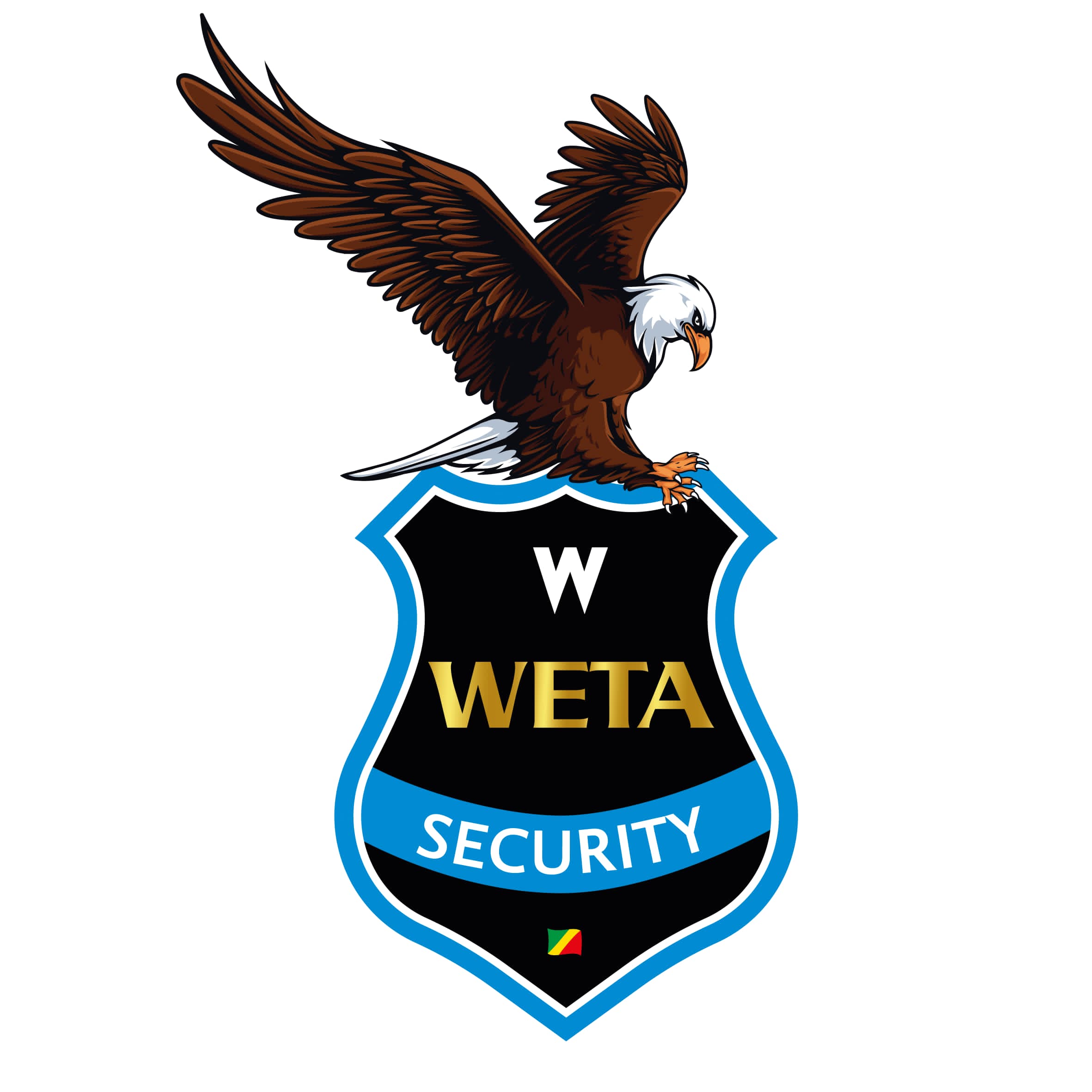 Agents et équipements DWS GROUP - WETA SECURITY à Pointe-Noire