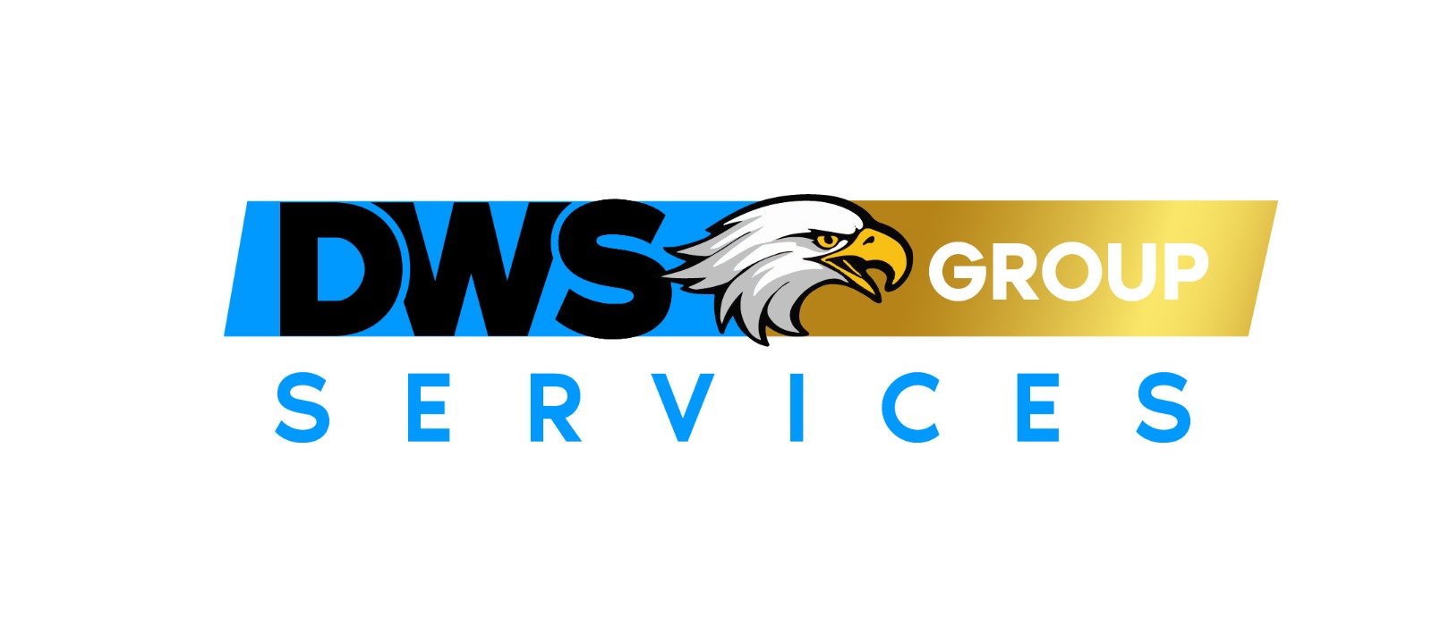 Logo DWS GROUP - WETA SECURITY
